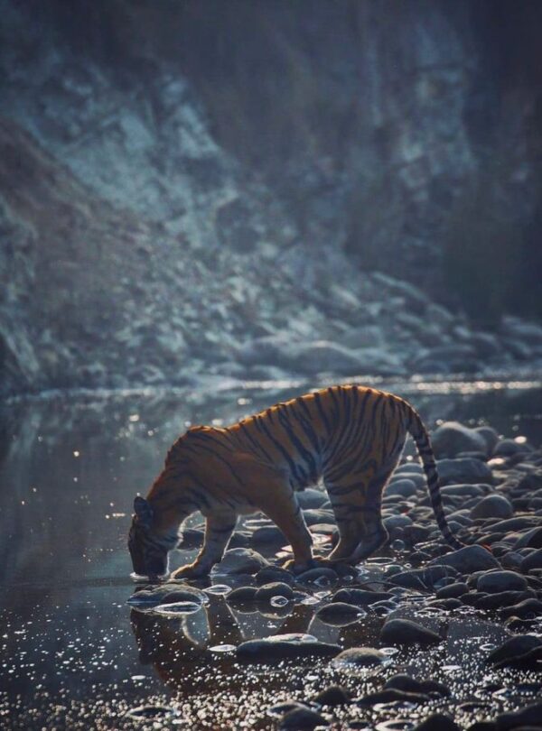 Nainital Tour Package 2 nights 3 days