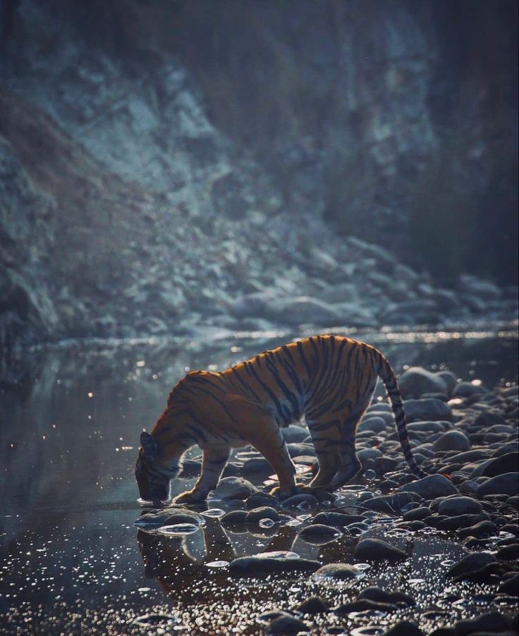 Nainital Tour Package 2 nights 3 days