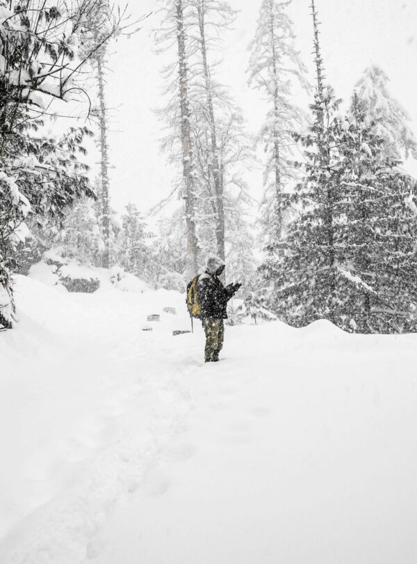 Shimla Manali tour package