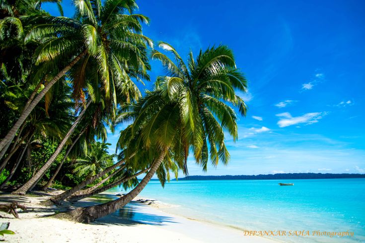 Andaman 7 Day Tour Package